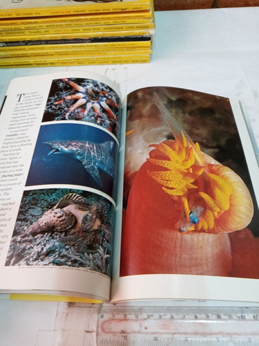 Revista National Geographic No 5 Mayo 1981 (us) (Usado)
