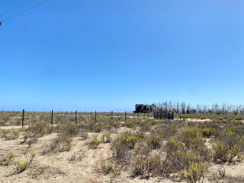 Terreno En Venta En Tongoy Excelente Oportunidad
