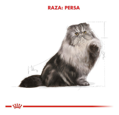 Imagen 7 de 7 de Alimento Royal Canin Feline Breed Nutrition Persian para gato adulto sabor mix en bolsa de 1.5 kg