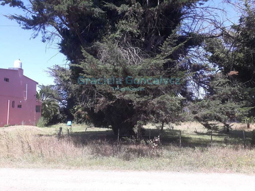 Imagen 4 de 5 de Venta Lote Terreno Los Acantilados Mar Del Plata