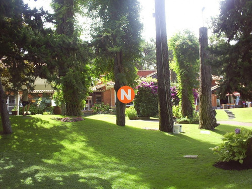 Oportunidad, Casa En Venta, Golf, Punta Del Este, 6 Dormitorios.- Ref: 206771