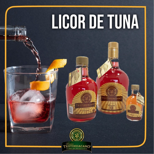 Imagen 3 de 3 de Bebida Artesanal De Tuna 750 Ml