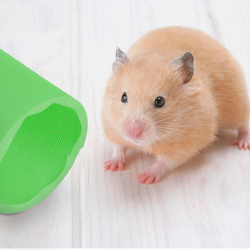 Divertido Túnel Para Mascotas, Juguete Plegable Para Hámster