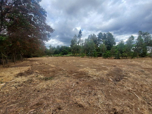 Se Vende Terreno Alto Las Cruces Condominio Los Manzanos