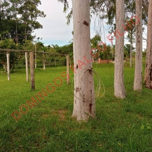 Imagem 13 de 16 de Venda - Chácara - Colina Santa Izabel (tupi) - Piracicaba - Sp - D0633