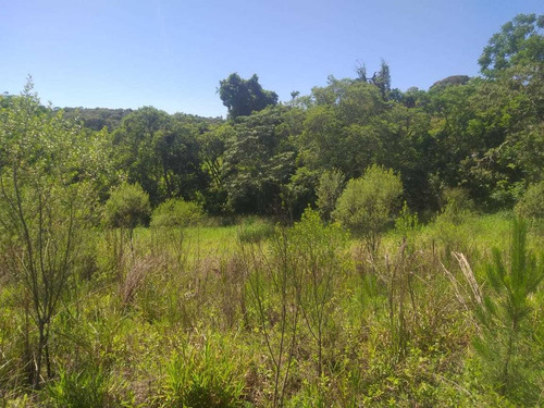 (k.a) Chacaras R$24,500 A Vista