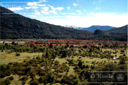 Imagen 7 de 17 de Chacra / Fracción En Venta En Patagonia Argentina - 12 Has Sobre Rio - Fly Fishing Pesca Con Mosca.