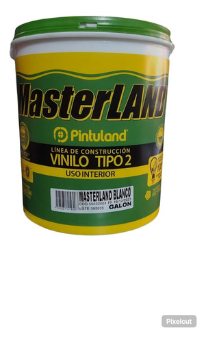 Vinilo Tipo 2 Masterland Galón