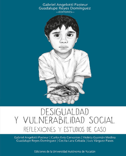 Desigualdad Y Vulnerabilidad Social (libro Original)