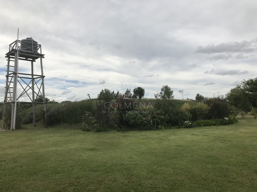 Imagen 2 de 30 de Venta De Chacra Sobre Ruta 9 A 30 Km De Jose Ignacio - Maldonado Ruta 9