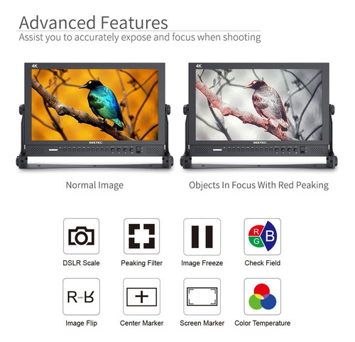 Seetec P173-9hsd 17.3 Pulgadas 1920x1080 Monitor De Escritor