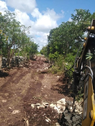 Terreno De Inversion En Yucatan A Pocos Min Del Tren Maya Y
