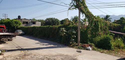 Imagen 6 de 15 de Lote Dharma