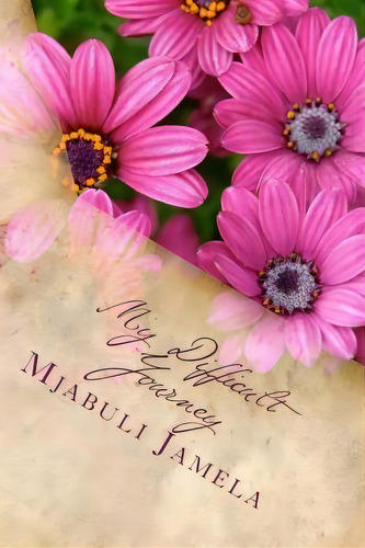 My Difficult Journey, De Mr Mjabuli Jamela. Editorial Createspace Independent Publishing Platform, Tapa Blanda En Inglés