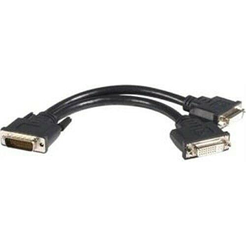 Dms-59 2 Dvi Y-cable Dmsdvidvi1