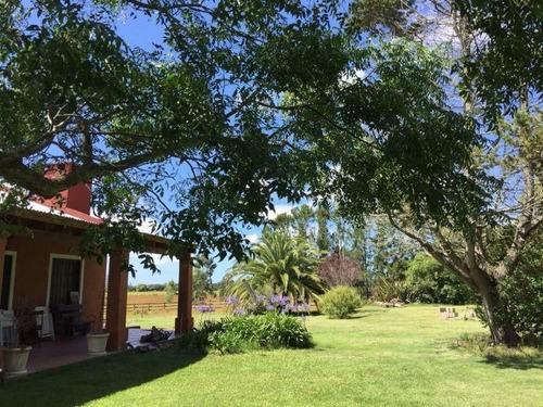 Imagen 4 de 16 de Chacra En La Pataia, Punta Ballena