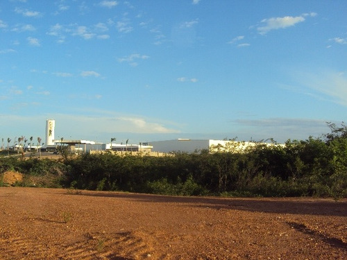 Terreno Para Alugar Na Cidade De Maracanau-ce - L7538