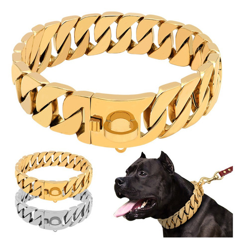 Collar De Trabajo Pitbull Dog - Plata Oro