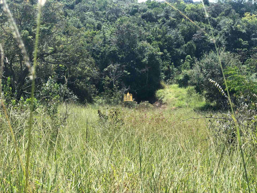 Imagem 10 de 12 de Terreno Em Esmeraldas - Te00520 - 70785408