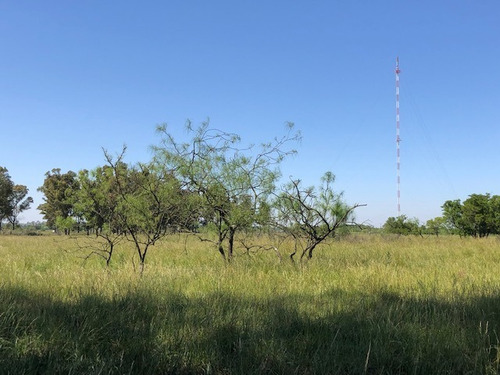 Imagen 11 de 12 de Venta Fracción De Campo Con Mejoras En San Miguel Del Monte