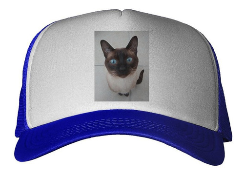 Gorra Gato Siames Sentado Mirando Fijo