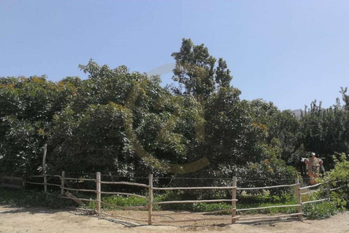 Venta De Camping En La Serena