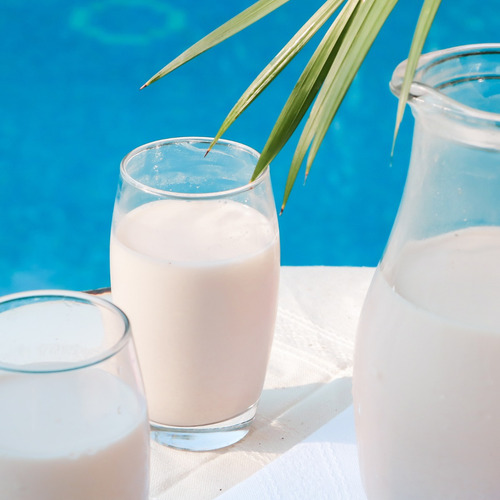 Concentrado Delsol Sabor Horchata 5 L - 2 Pza