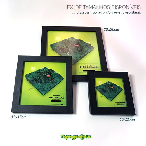 Tóquio (japão) - Mapa 3d Infograf - 1 Quadro 20x20cm
