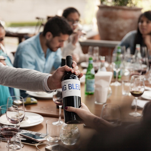 Imagen 3 de 5 de Vino Tinto Sang Bleu 750 Ml
