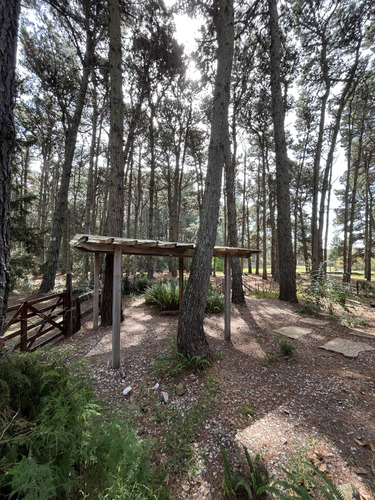 Venta Cabaña 3 Dormitorios Altillo, Patio Y Parrilla Pleno Pinar Lucila Del Mar