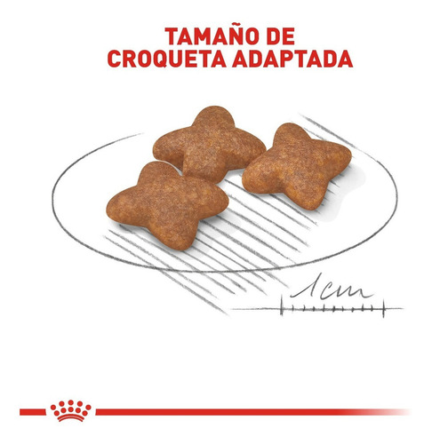 Royal Canin Mini Adult 6.3 Kg Nuevo Original Sellado