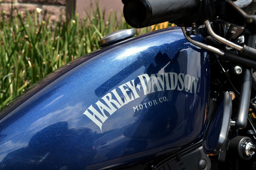 Imagen 13 de 15 de Flamante Harley Sportster Iron 883 Impecable Nacional