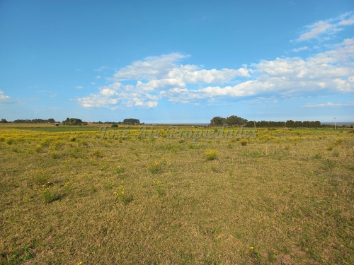 En Venta Chacra En Matamora Colonia Del Sacramento