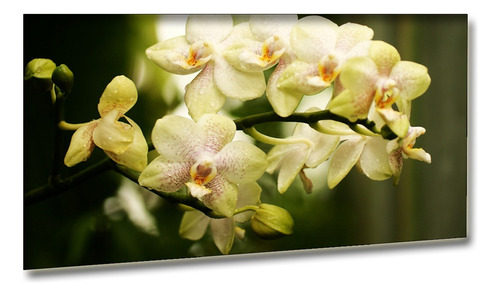 Cuadro Decorativo Orquídea Amarilla Ideal Para Sala 60x90cm