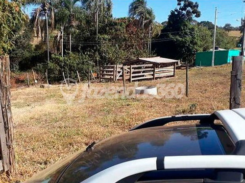 Imagem 5 de 12 de Rural Chacara Com 3 Quartos - 335-v