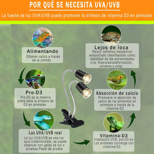 Heat Focus Para Répteis, Tartarugas, Lâmpada Uva Uvb, 4 Unid
