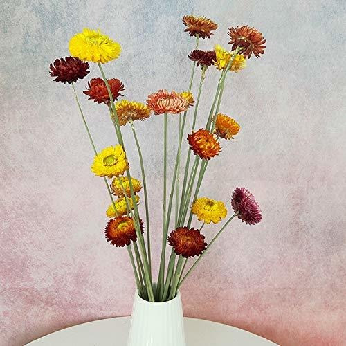 Guirnalda Ramo De Flores Secas Naturales De Color Life, Ramo | Cuotas sin interés Guirnalda Ramo De Flores Secas Naturales De Color Life, Ramo | Cuotas sin interés