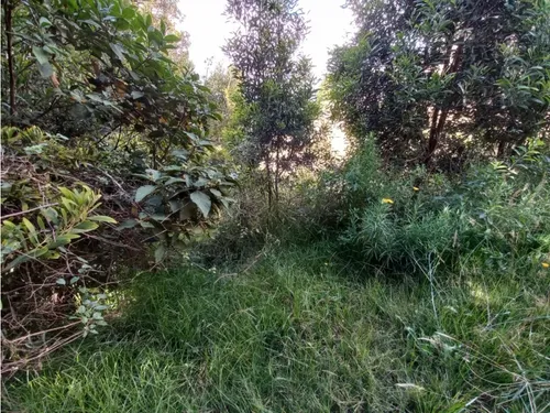 Venta De Lote Chivatá