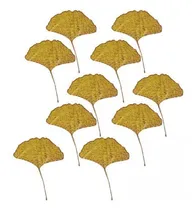 Comprar 3 X 10 Hojas Secas Prensadas, Hojas Secas Reales De Otoño,