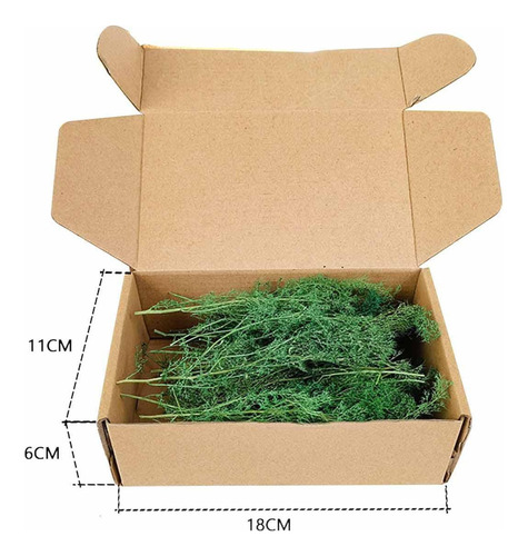 Material De Maqueta De Árboles En Miniatura 1/48 Con Paisaje