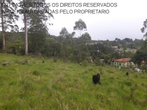 Imagem 15 de 22 de Terreno - Te00125 - 34466729