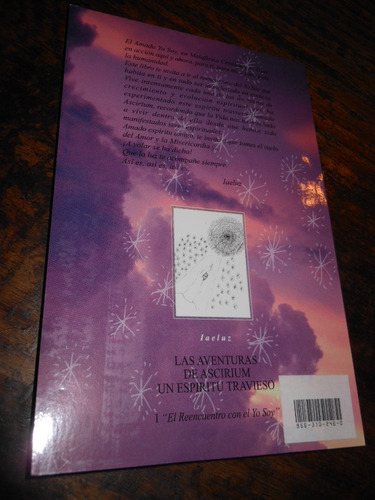 Las Aventuras De Ascirium Un Espiritu Travieso Laeluz El Ree (Usado)