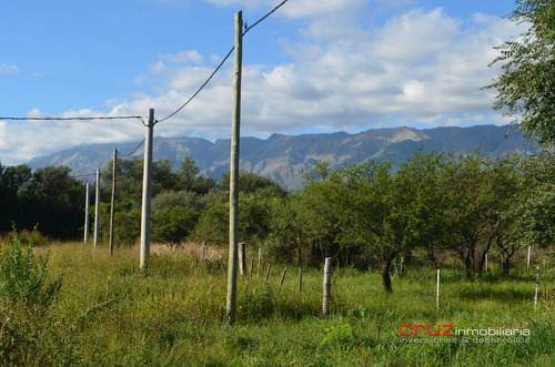 Imagen 2 de 14 de Lote De 870m2 En Carpinteria Centro A 10 Min De Merlo!