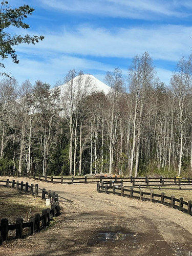 Parcela De 5000 M2 En Molco, A 900 M Del Lago