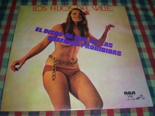 Los Hijos Del Valle Vinilo Promo (19) (Usado)