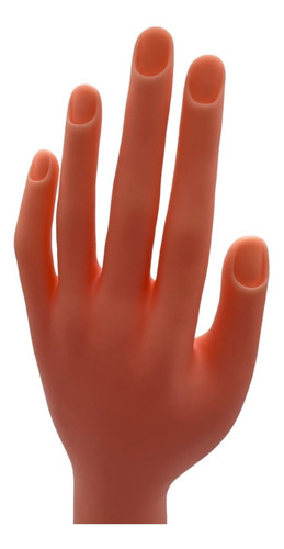 12 Mano Practica Uñas Acrilicas Exhibicion Maniqui Silicona