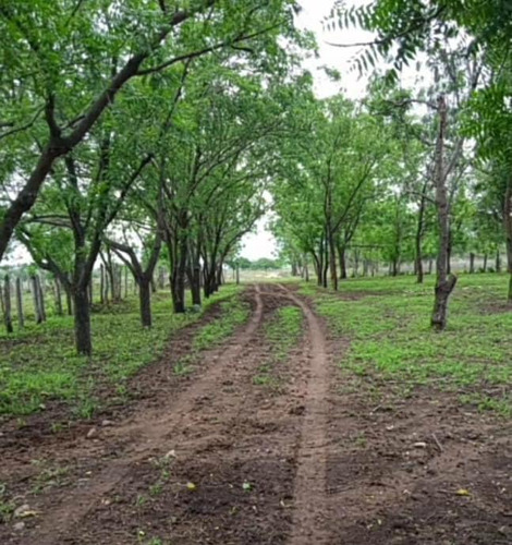 Imagen 2 de 11 de Finca En Altagracia De Orituco- Guarico
