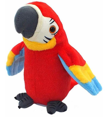Qdd Hablar Loro Repite Lo Que Usted Dice Mimetismo Mascotas