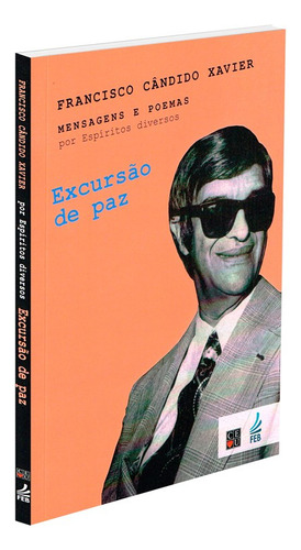 Excursão De Paz: Não Aplica, De Médium: Francisco Cândido Xavier / Ditado Por: Espíritos Diversos. Série Não Aplica, Vol. Não Aplica. Editora Feb, Capa Mole, Edição Não Aplica Em Português, 2002