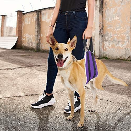 Voopet Dog Sling, Ayuda A Levantar Las Piernas Traseras, Arn